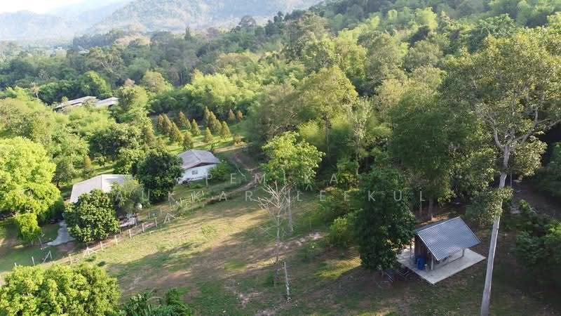 บ้าน 1-ห้องนอน, กรุงเทพ, พระบรมมหาราชวัง, พระนคร, กรุงเทพ, 47 ตร.ม., บ้านเดี่ยว ขาย, โดย Pemika Aukkaraleekul, 500509108 - DDproperty.com
