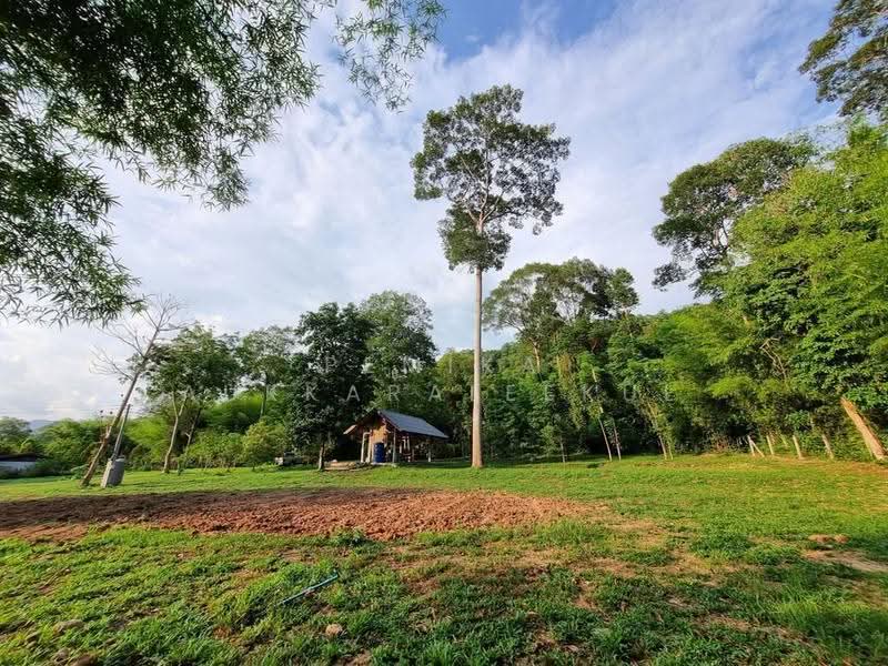 1-BR House, Bangkok, Praborommaharatchawang, Phra Nakhon, Bangkok, 1 Bedroom, 47 sqm, Single Detached House For Sale, by Pemika Aukkaraleekul, 500509108 - DDproperty.com