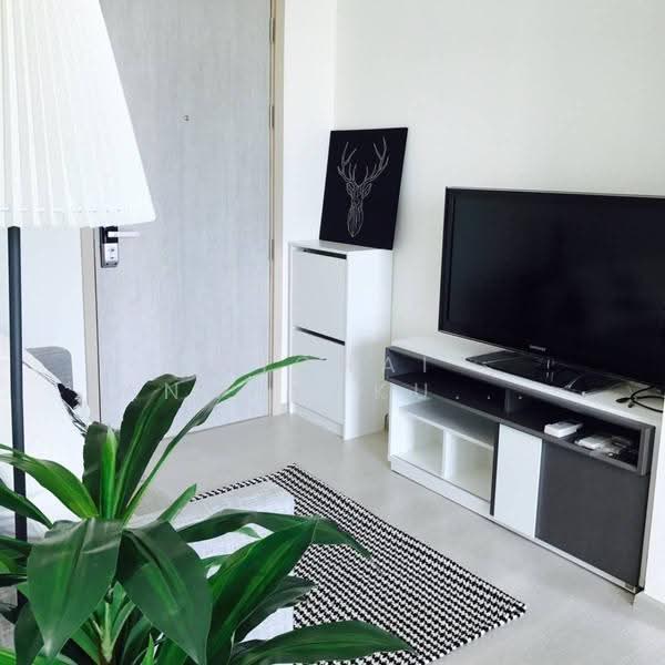 Rhythm Sukhumvit 36-38, Bangkok, 55 Soi Sukhumvit 36, Sukhumvit Road, Phra Kanong, Khlong Toei, Bangkok, 1 Bedroom, 33 sqm, Condo For Rent, by Vichai Annavakulthorn, 500509138 - DDproperty.com