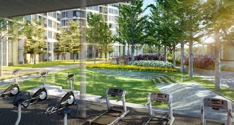 Skyrise Avenue Sukhumvit 64, Bangkok, 3 Soi Sukhumvit 64, Bang Chak, Phra Khanong, Bangkok, 2 Bedrooms, 45 sqm, Condo For Rent, by Vichai Annavakulthorn, 500509159 - DDproperty.com