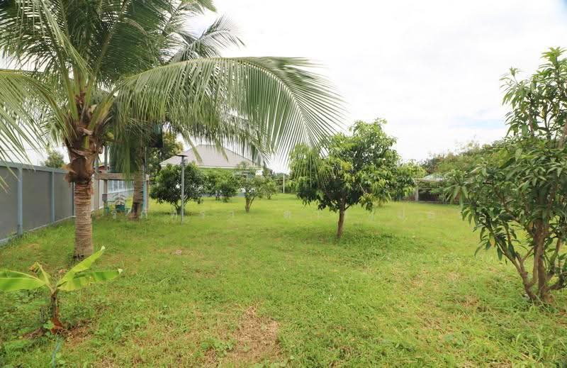 2025 2-Bed House for Nong Wau So, Sale Udon Thani | 1 Rai, Udon Thani, Up Mung, Nong Wua So, Udon Thani, 2 Bedrooms, 100 sqm, Single Detached House For Sale, by วีรภัทรา ดาร์เปอร์, 500509176 - DDproperty.com