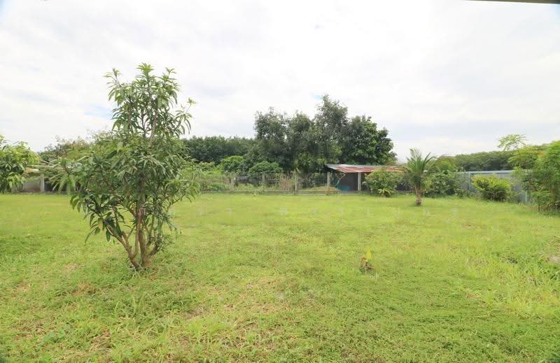 2025 2-Bed House for Nong Wau So, Sale Udon Thani | 1 Rai, Udon Thani, Up Mung, Nong Wua So, Udon Thani, 2 Bedrooms, 100 sqm, Single Detached House For Sale, by วีรภัทรา ดาร์เปอร์, 500509176 - DDproperty.com