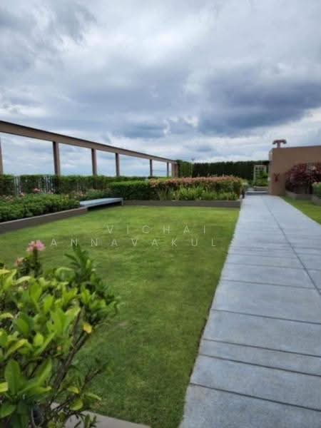 Oka Haus Sukhumvit 36, Bangkok, 3399 Rama 4 Road, Khong Tan, Khlong Toei, Bangkok, 1 Bedroom, 35 sqm, Condo For Rent, by Vichai Annavakulthorn, 500509208 - DDproperty.com