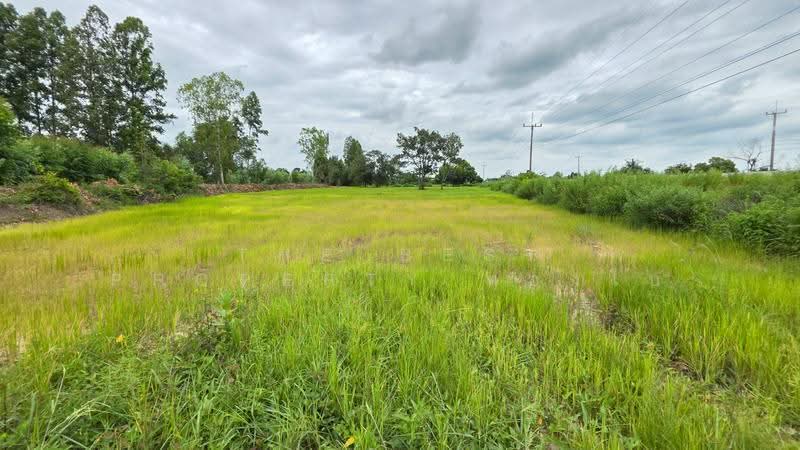 ที่ดินนาดูน มหาสารคาม, Maha Sarakham, Nong Phai, Na Dun, Maha Sarakham, , 10,000 sqm, Land For Sale, by The Best Property ทองใบ, 500509463 - DDproperty.com