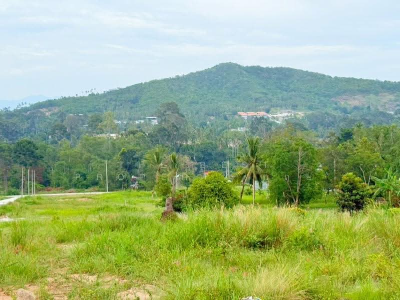 ที่ดินเกาะสมุย สุราษฏร์ธานี, Surat Thani, Mae Nam, Ko Samui, Surat Thani, , 1,600 sqm, Land For Sale, by The Best Property กฤษ, 500509556 - DDproperty.com