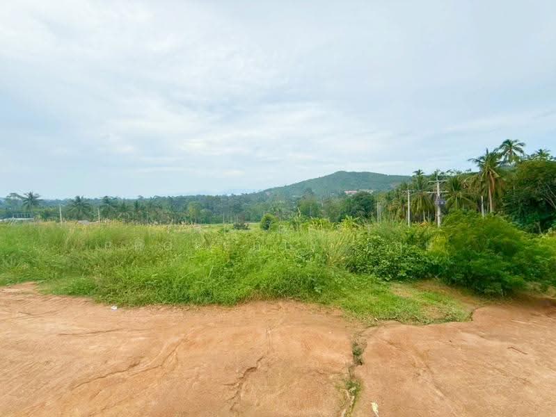 ที่ดินเกาะสมุย สุราษฏร์ธานี, Surat Thani, Mae Nam, Ko Samui, Surat Thani, , 1,600 sqm, Land For Sale, by The Best Property กฤษ, 500509556 - DDproperty.com