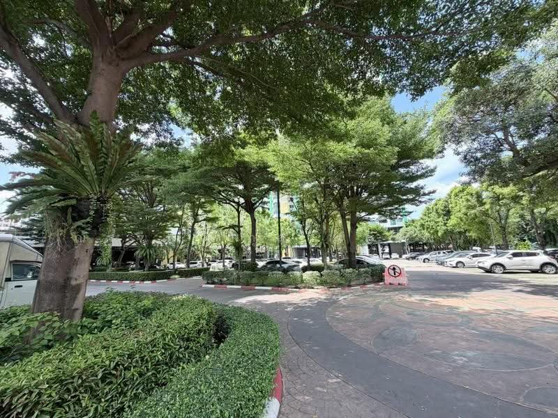 Supalai Park Kaset, Bangkok, Prasert Manutakit Road, Sena Nikhom, Chatuchak, Bangkok, 1 Bedroom, 34 sqm, Condo For Sale, by ณัฐจีรา กุลสิริภิวัฒน์, 500509705 - DDproperty.com