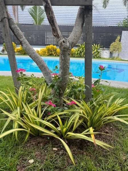 5-BR House, Chon Buri (Pattaya), Poong, Bang Lamung (Pattaya), Chon Buri (Pattaya), 5 Bedrooms, 495 sqm, Single Detached House For Rent, by Jirapat Chuangsawadsak, 500509741 - DDproperty.com