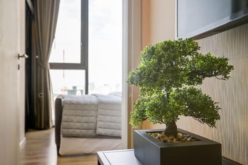 The Line Jatujak-Mochit, Bangkok, Phaholyothin Road, Jom Phon, Chatuchak, Bangkok, 1 Bedroom, 28 sqm, Condo For Rent, by Connex Property, 500509989 - DDproperty.com