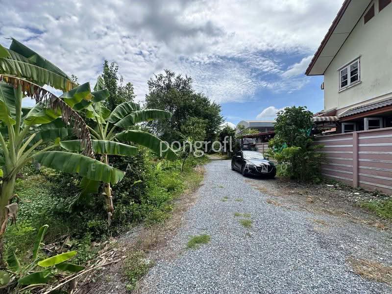 ขายที่ดิน 447.7 ตร.ว ซ.วัดพระเงิน ตรงข้าม Foody Farm Community Mall, Nonthaburi, Bang Mae Nang, Bang Yai, Nonthaburi, , 1,788 sqm, Land For Sale, by ERA Thailand, 500510197 - DDproperty.com
