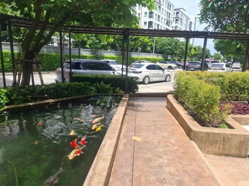 Unio Ramkhamhaeng-Serithai, Bangkok, 570 Seri Thai Rd, Khlong Kum, Bueng Kum, Bangkok, 1 Bedroom, 26 sqm, Condo For Sale, by ERA Thailand, 500510280 - DDproperty.com
