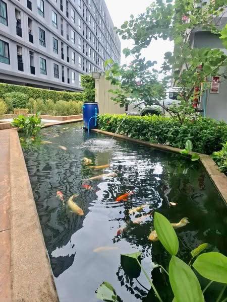 Unio Ramkhamhaeng-Serithai : ยูนิโอ รามคำแหง-เสรีไทย, กรุงเทพ, 570 ถ.เสรีไทย, คลองกุ่ม, บึงกุ่ม, กรุงเทพ, 26 ตร.ม., คอนโด ขาย, โดย ERA Thailand, 500510280 - DDproperty.com