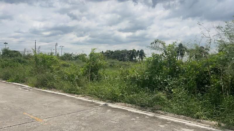 ขายที่ดินถมแล้วพร้อมสร้าง! 409 ตร.ว. ทำเลดี บางนา-ตราด, สมุทรปราการ, หนองปรือ, บางพลี, สมุทรปราการ, 1,636 ตร.ม., ที่ดิน ขาย, โดย ERA Thailand, 500510321 - DDproperty.com
