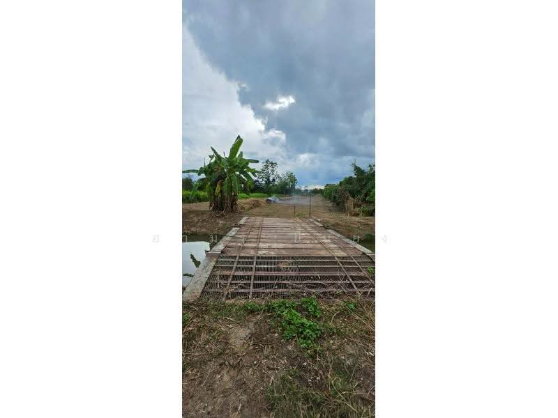 โซนหางดง สันผักหวาน ปรับราคาขาย!!!, Chiang Mai, San Phak Wan, Hang Dong, Chiang Mai, , 400 sqm, Land For Sale, by อามร ยืนยง, 500510411 - DDproperty.com