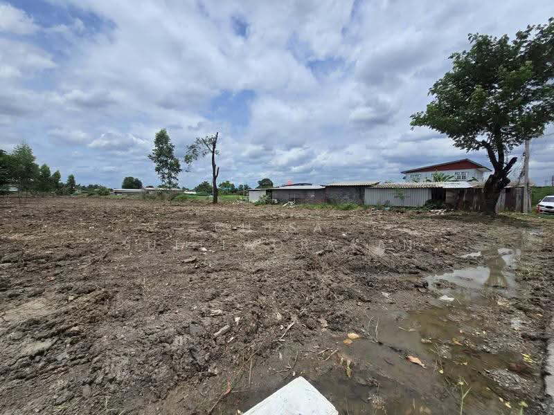 ที่ดินเช่าหลักหก, Pathum Thani, รพช, Lak Hok, Muang Pathum Thani, Pathum Thani, , 4,800 sqm, Land For Rent, by Chisa Suttiworakan, 500510456 - DDproperty.com