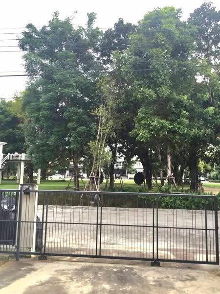 Pruklada Bangna, Samut Prakan, Bangna-Trad Rd., Bang Bo, Samut Prakan, 3 Bedrooms, 140 sqm, Single Detached House For Rent, by jira, 500510483 - DDproperty.com