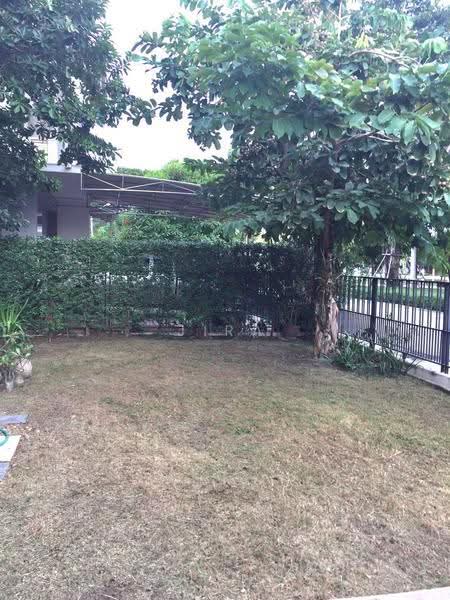 Pruklada Bangna, Samut Prakan, Bangna-Trad Rd., Bang Bo, Samut Prakan, 3 Bedrooms, 140 sqm, Single Detached House For Rent, by jira, 500510483 - DDproperty.com
