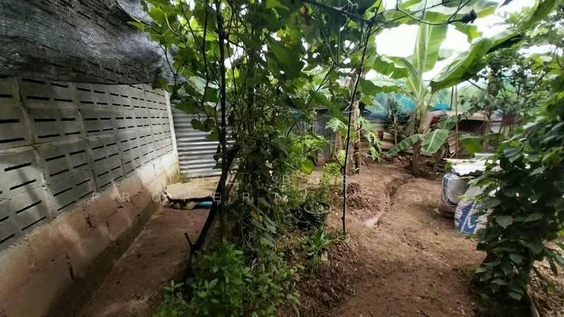 บ้านเดี่ยวพร้อมที่ดินบ้านเกาะ อุตรดิตถ์, Uttaradit, Ban Ko, Muang Uttaradit, Uttaradit, 2 Bedrooms, 150 sqm, Single Detached House For Sale, by The Best Property แพท, 500510560 - DDproperty.com
