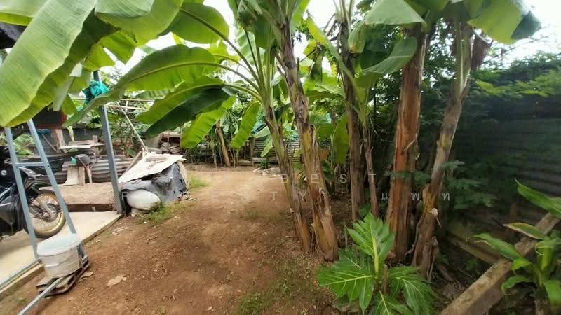 บ้านเดี่ยวพร้อมที่ดินบ้านเกาะ อุตรดิตถ์, Uttaradit, Ban Ko, Muang Uttaradit, Uttaradit, 2 Bedrooms, 150 sqm, Single Detached House For Sale, by The Best Property แพท, 500510560 - DDproperty.com