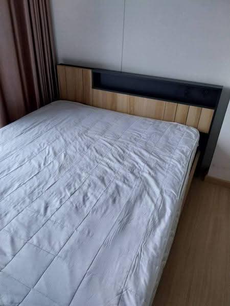 Whizdom Connect Sukhumvit, Bangkok, 1 Soi Piyibut 1, Sukhumvit Road, Bang Na, Bangkok, 1 Bedroom, 30 sqm, Condo For Rent, by Phacharakorn Anusiri, 500510693 - DDproperty.com