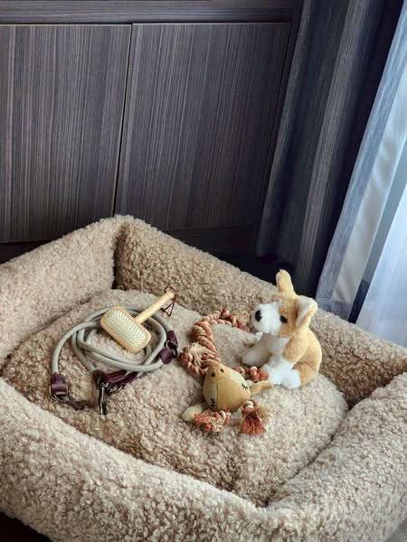 CONNER Ratchathewi, Bangkok, 288 Phetchaburi Road, Thanon Phetchaburi, Ratchathewi, Bangkok, 2 Bedrooms, 50 sqm, Condo For Sale, by Suchada Yodyiem, 500510766 - DDproperty.com