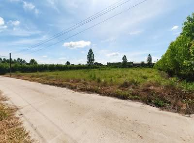 ขาย - ที่ดินพนมสารคาม ฉะเชิงเทรา, ฉะเชิงเทรา