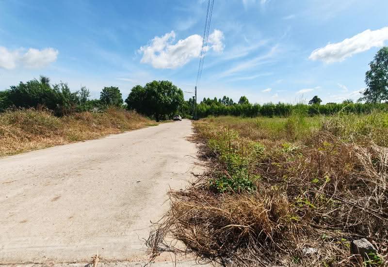 ที่ดินพนมสารคาม ฉะเชิงเทรา, ฉะเชิงเทรา, เขาหินซ้อน, พนมสารคาม, ฉะเชิงเทรา, 14,544 ตร.ม., ที่ดิน ขาย, โดย The Best Property ซายน์, 500510889 - DDproperty.com