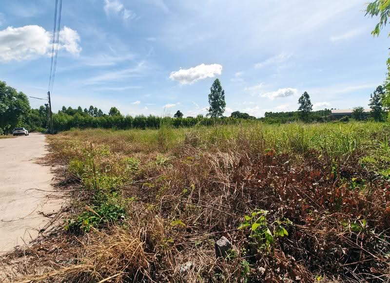ที่ดินพนมสารคาม ฉะเชิงเทรา, Chachoengsao, Khao Hin Son, Phanom Sarakham, Chachoengsao, , 14,544 sqm, Land For Sale, by The Best Property ซายน์, 500510889 - DDproperty.com