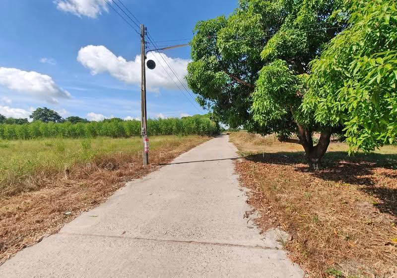 ที่ดินพนมสารคาม ฉะเชิงเทรา, ฉะเชิงเทรา, เขาหินซ้อน, พนมสารคาม, ฉะเชิงเทรา, 14,544 ตร.ม., ที่ดิน ขาย, โดย The Best Property ซายน์, 500510889 - DDproperty.com