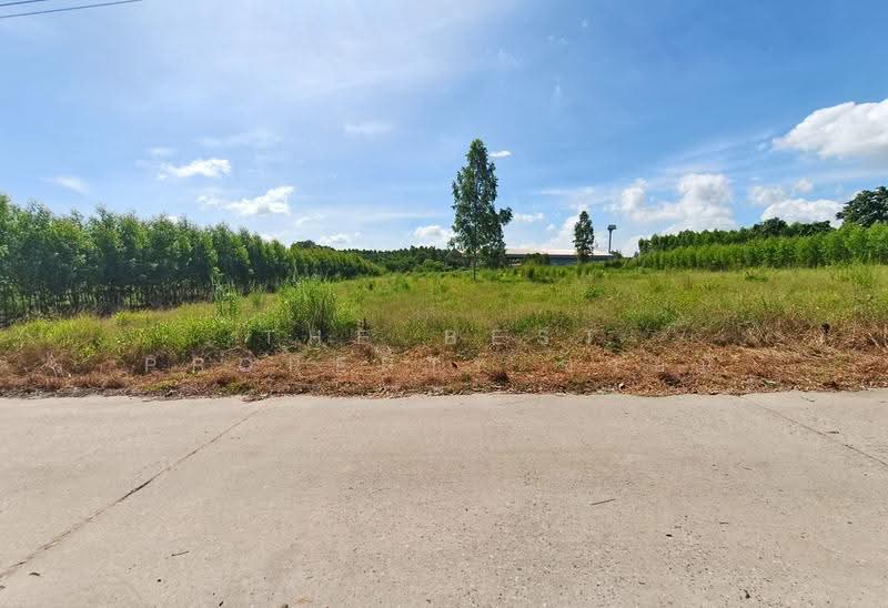 ที่ดินพนมสารคาม ฉะเชิงเทรา, Chachoengsao, Khao Hin Son, Phanom Sarakham, Chachoengsao, , 14,544 sqm, Land For Sale, by The Best Property ซายน์, 500510889 - DDproperty.com
