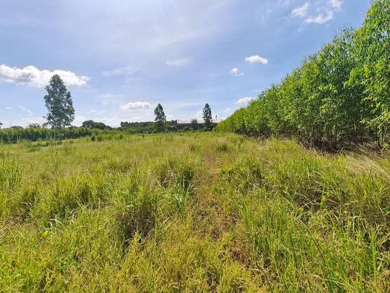 ที่ดินพนมสารคาม ฉะเชิงเทรา, Chachoengsao, Khao Hin Son, Phanom Sarakham, Chachoengsao, , 14,544 sqm, Land For Sale, by The Best Property ซายน์, 500510889 - DDproperty.com
