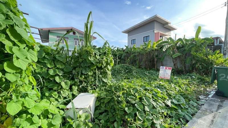 ที่ดินเปล่า 50 ตร.ว. ที่ดิน ซอยเเทียนทะเล19 แยก2-2 (ซอยชุมชนหลวงพ่อขาว), กรุงเทพ, ถนนพระราม2, ท่าข้าม, บางขุนเทียน, กรุงเทพ, 200 ตร.ม., ที่ดิน ขาย, โดย คุณ พัชรนันท์ พรมพิทักษ์ (นัจข์), 500510937 - DDproperty.com