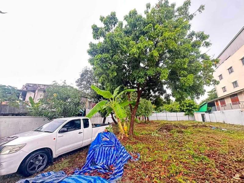 Land for Sale Pridi 14, Bangkok, Phra Kanong Nua, Watthana, Bangkok, , 664 sqm, Land For Sale, by Kamonporn Chanpreecha, 500511011 - DDproperty.com