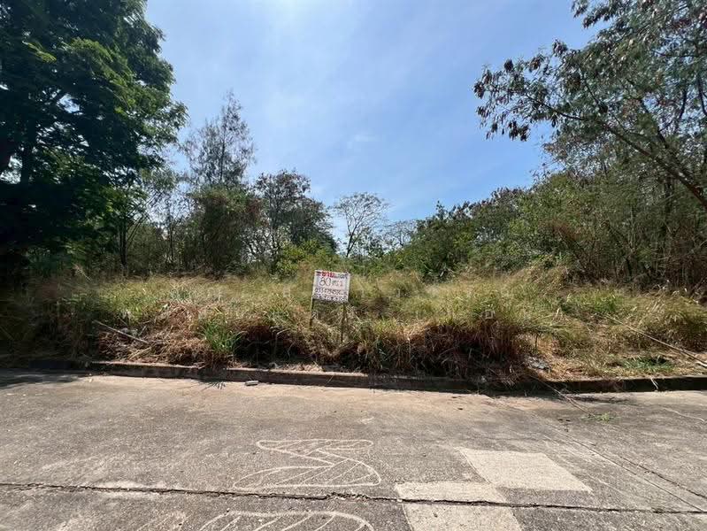 ที่ดินเปล่า 80 ตร.ว. ที่ดิน หมู่บ้านสีวลี รังสิต1 ซอยรังสิต-นครนายก50, Pathum Thani, ถนนรังสิต-นครนายก, Prachathipat, Thanyaburi, Pathum Thani, , 320 sqm, Land For Sale, by คุณ สุดาวรรณ พลอยแดง (แอน), 500511077 - DDproperty.com