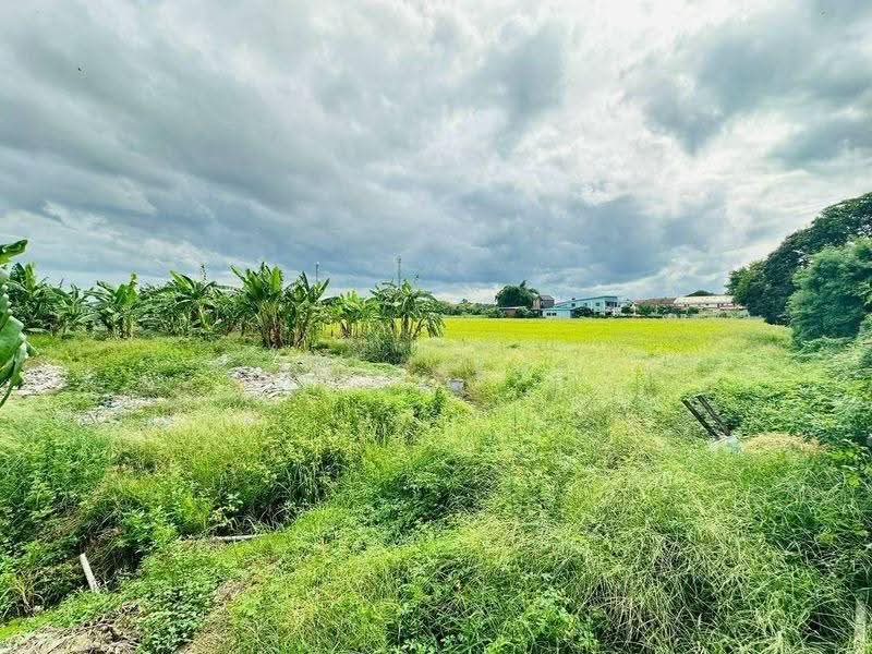 Baan Buathong 4, Nonthaburi, Ban Kluay-Sai Noi Road, Phimonrat, Bang Bua Thong, Nonthaburi, 3 Bedrooms, 80 sqm, Townhouse For Sale, by NR AGENT, 500511107 - DDproperty.com