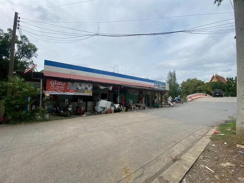 ที่ดิน + สิ่งปลูกสร้าง 119 ตร.ว. ตรงข้ามกับวัดแสงสรรค์ ซอยรังสิต-นครนายก31, Pathum Thani, ถนนรังสิต-นครนายก, Prachathipat, Thanyaburi, Pathum Thani, , 476 sqm, Land For Sale, by คุณ ศรินรัตน์ ศิรเกียรติสกุล (เป้ย), 500511178 - DDproperty.com