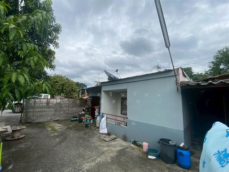 ที่ดิน + สิ่งปลูกสร้าง 119 ตร.ว. ตรงข้ามกับวัดแสงสรรค์ ซอยรังสิต-นครนายก31, Pathum Thani, ถนนรังสิต-นครนายก, Prachathipat, Thanyaburi, Pathum Thani, , 476 sqm, Land For Sale, by คุณ ศรินรัตน์ ศิรเกียรติสกุล (เป้ย), 500511178 - DDproperty.com