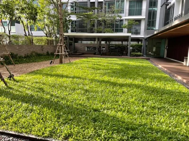 The Room Sukhumvit 40, Bangkok, 40 สุขุมวิท, Phra Kanong, Khlong Toei, Bangkok, 1 Bedroom, 43 sqm, Condo For Rent, by Patraporn Kansri, 500511271 - DDproperty.com