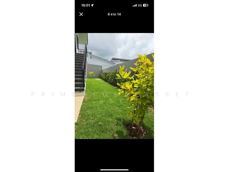 บ้านเดี่ยว, Phuket, Chalong, Muang Phuket, Phuket, 2 Bedrooms, 120 sqm, Single Detached House For Rent, by primeglobalasset bee, 500511272 - DDproperty.com