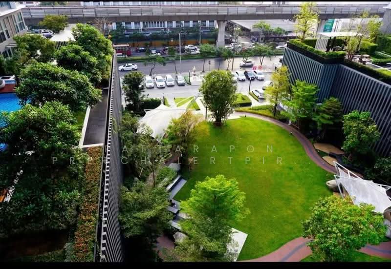 IDEO MOBI Sukhumvit 81 : ไอดีโอ โมบิ สุขุมวิท 81, กรุงเทพ, 2097 ถนนสุขุมวิท แขวงบางจาก เขตพระโขนง กรุงเทพมหานคร, บางจาก, พระโขนง, กรุงเทพ, 31 ตร.ม., คอนโด ขาย, โดย Pattarapon Preechalertpiriya, 500511501 - DDproperty.com