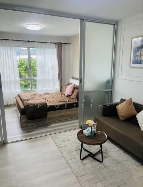 Dcondo Kathu-Patong, Phuket, Wichit Songkhram Road, Kathu, Phuket, 1 Bedroom, 30 sqm, Condo For Rent, by Connex Property, 500511570 - DDproperty.com