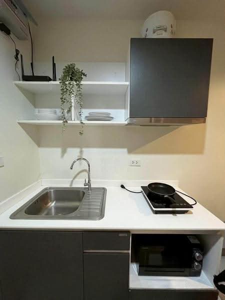 Zcape 3, Phuket, Thep Krasattri Road, Wichit, Muang Phuket, Phuket, 1 Bedroom, 28 sqm, Condo For Rent, by Connex Property, 500511624 - DDproperty.com