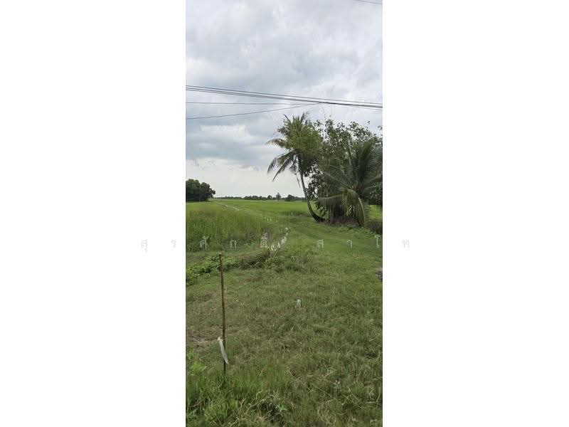 ที่ดินเปล่า องครักษ์ คลอง24 นครนายก 350-3-79 ไร่ ขายด่วนไร่ละ 400,000บาท, นครนายก, ศีรษะกระบือ, องครักษ์, นครนายก, 561,516 ตร.ม., ที่ดิน ขาย, โดย สุรศักดิ์ สาโท, 500511659 - DDproperty.com
