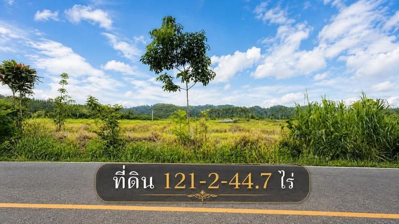 Land for Sale: 121 Rai near Na Yai Am Intersection, Chanthaburi. Frontage on two paved roads, with e, Chanthaburi, Na Yai Am, Chanthaburi, , 194,579 sqm, Land For Sale, by สุเทพ พสุวณิชย์กุล, 500511709 - DDproperty.com