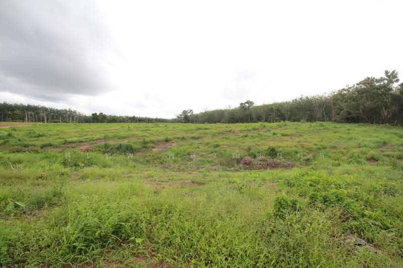 Land for Sale: 121 Rai near Na Yai Am Intersection, Chanthaburi. Frontage on two paved roads, with e, Chanthaburi, Na Yai Am, Chanthaburi, , 194,579 sqm, Land For Sale, by สุเทพ พสุวณิชย์กุล, 500511709 - DDproperty.com