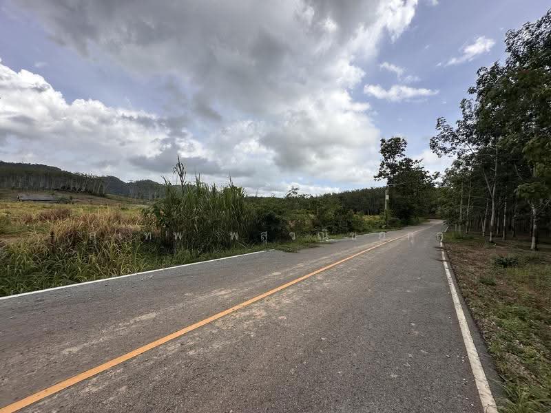 Land for Sale: 121 Rai near Na Yai Am Intersection, Chanthaburi. Frontage on two paved roads, with e, Chanthaburi, Na Yai Am, Chanthaburi, , 194,579 sqm, Land For Sale, by สุเทพ พสุวณิชย์กุล, 500511709 - DDproperty.com