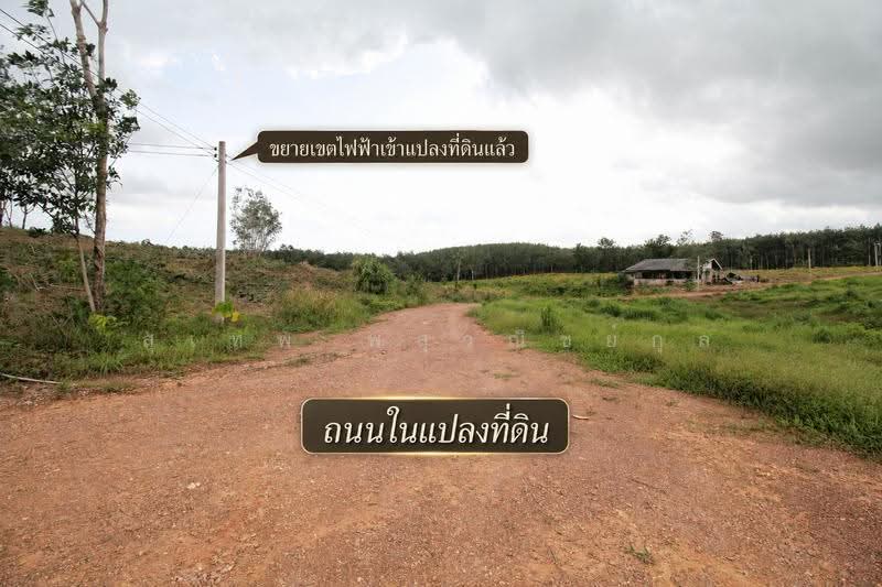 ขายที่ดิน 121 ไร่ ใกล้แยกนายายอาม จันทบุรี ติดถนนลาดยาง 2 ด้าน ไฟฟ้าพร้อม มีสระน้ำและบ่อบาดาล, จันทบุรี, นายายอาม, จันทบุรี, 194,579 ตร.ม., ที่ดิน ขาย, โดย สุเทพ พสุวณิชย์กุล, 500511709 - DDproperty.com