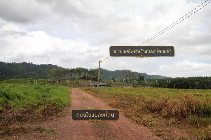 ขายที่ดิน 121 ไร่ ใกล้แยกนายายอาม จันทบุรี ติดถนนลาดยาง 2 ด้าน ไฟฟ้าพร้อม มีสระน้ำและบ่อบาดาล, จันทบุรี, นายายอาม, จันทบุรี, 194,579 ตร.ม., ที่ดิน ขาย, โดย สุเทพ พสุวณิชย์กุล, 500511709 - DDproperty.com
