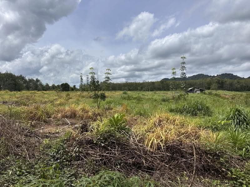 Land for Sale: 121 Rai near Na Yai Am Intersection, Chanthaburi. Frontage on two paved roads, with e, Chanthaburi, Na Yai Am, Chanthaburi, , 194,579 sqm, Land For Sale, by สุเทพ พสุวณิชย์กุล, 500511709 - DDproperty.com