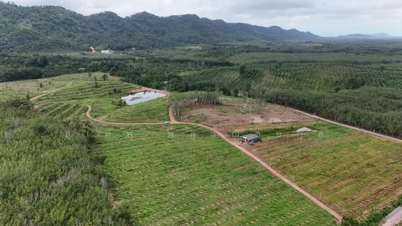 Land for Sale: 121 Rai near Na Yai Am Intersection, Chanthaburi. Frontage on two paved roads, with e, Chanthaburi, Na Yai Am, Chanthaburi, , 194,579 sqm, Land For Sale, by สุเทพ พสุวณิชย์กุล, 500511709 - DDproperty.com